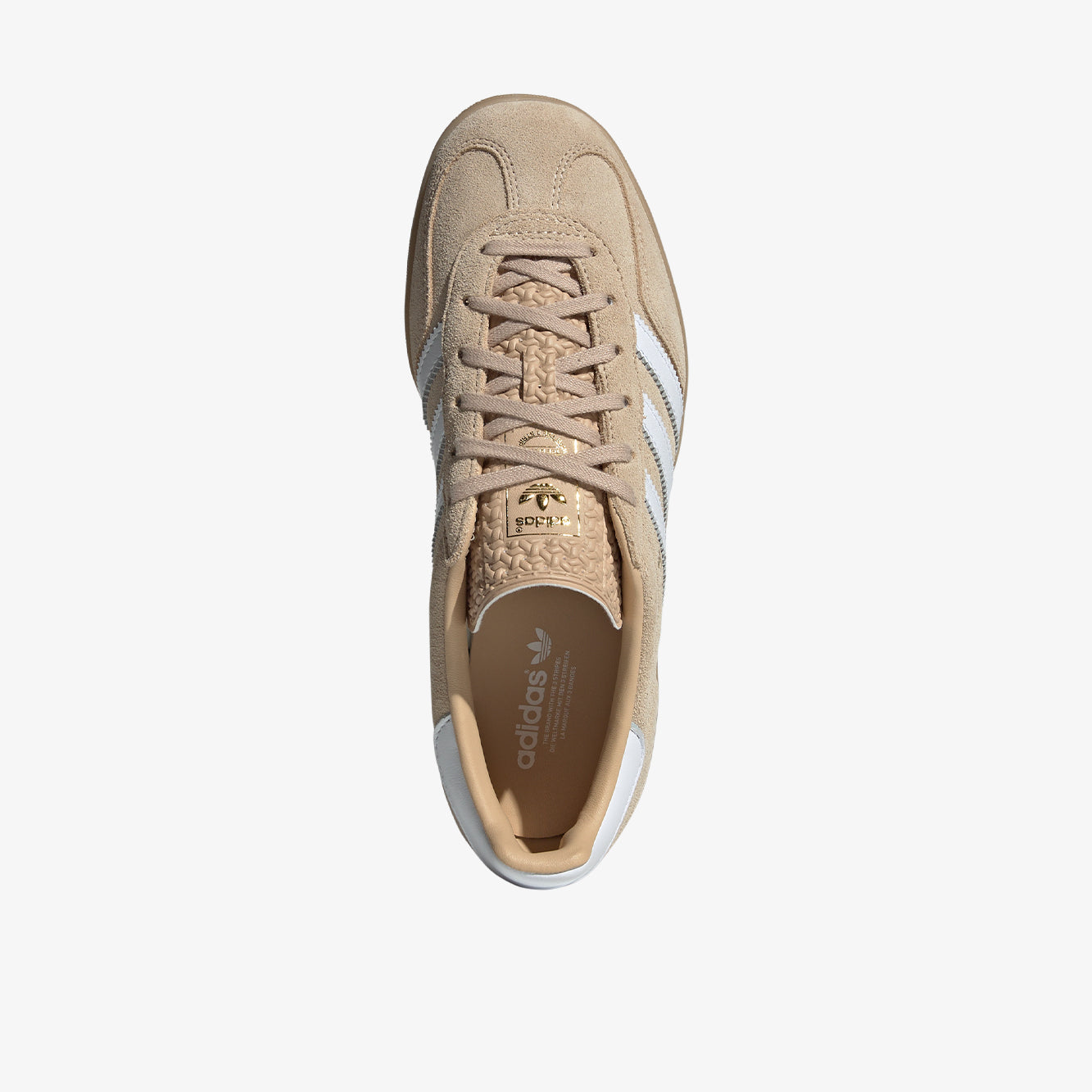 Gazelle indoor