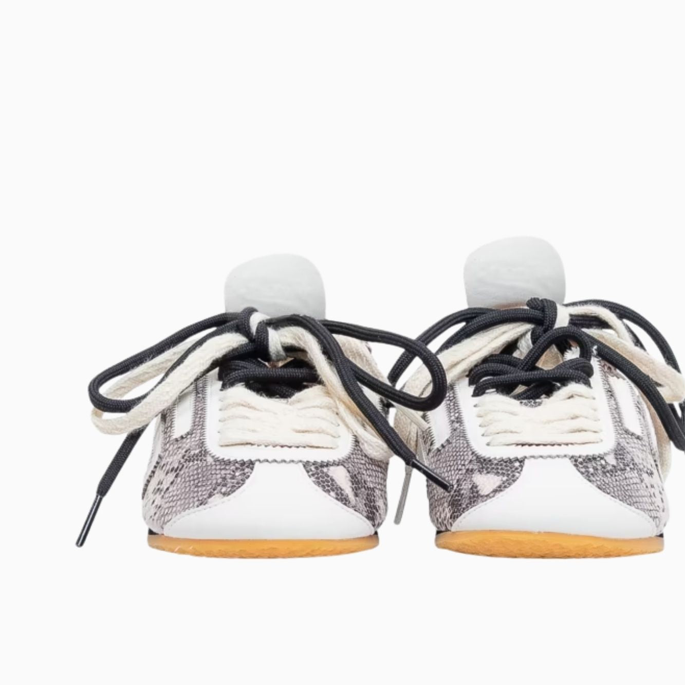 8.01 Lion
