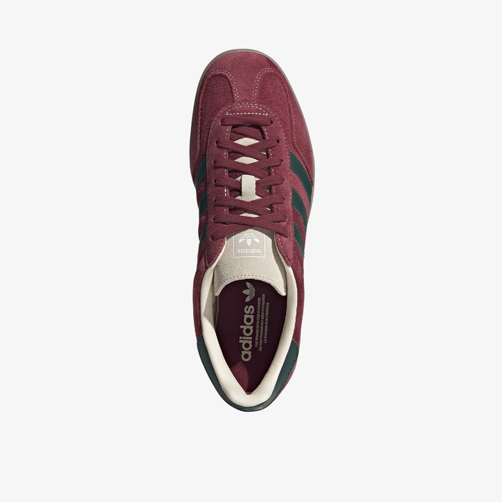 Gazelle indoor