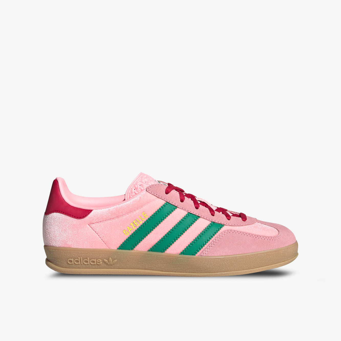 Gazelle indoor