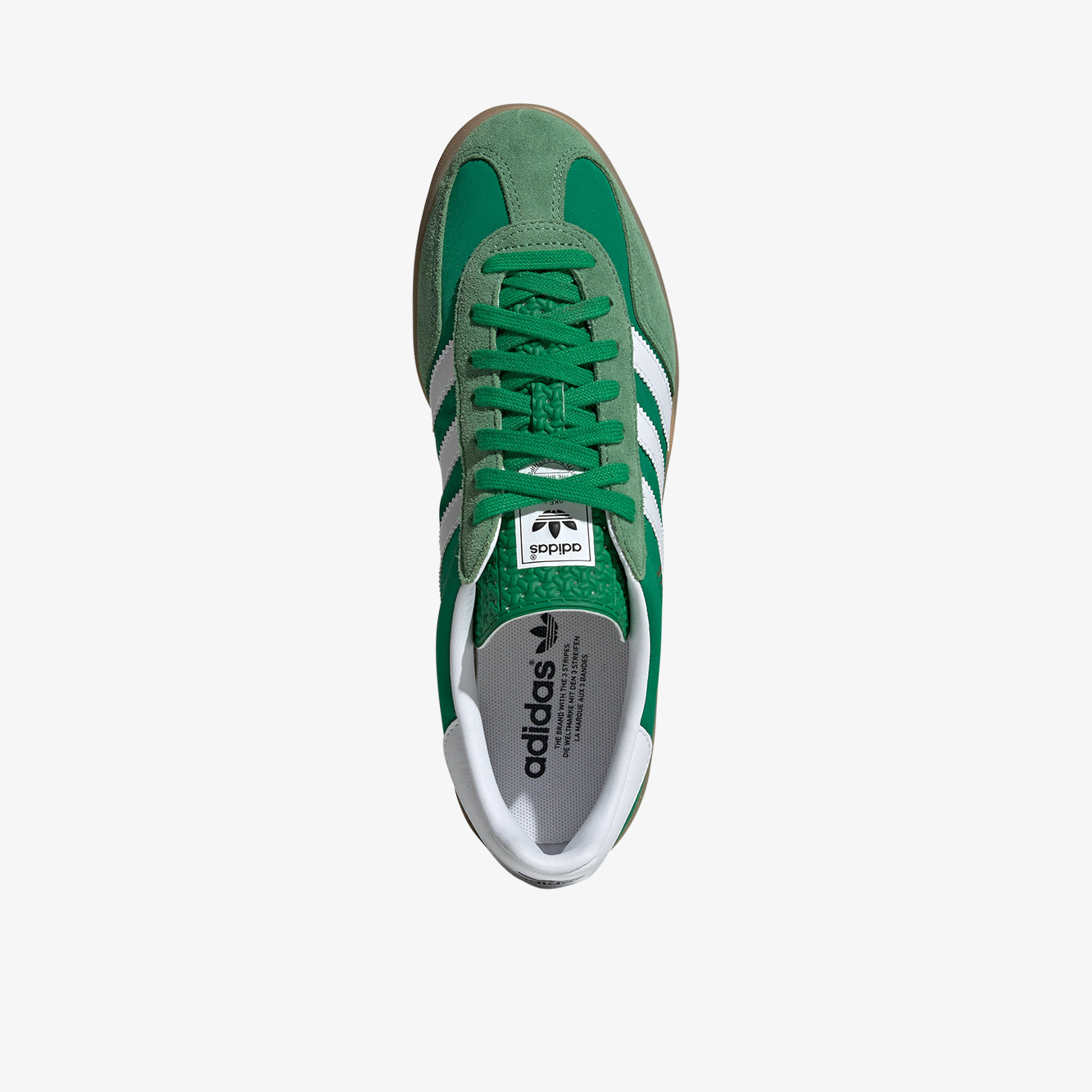 Gazelle indoor