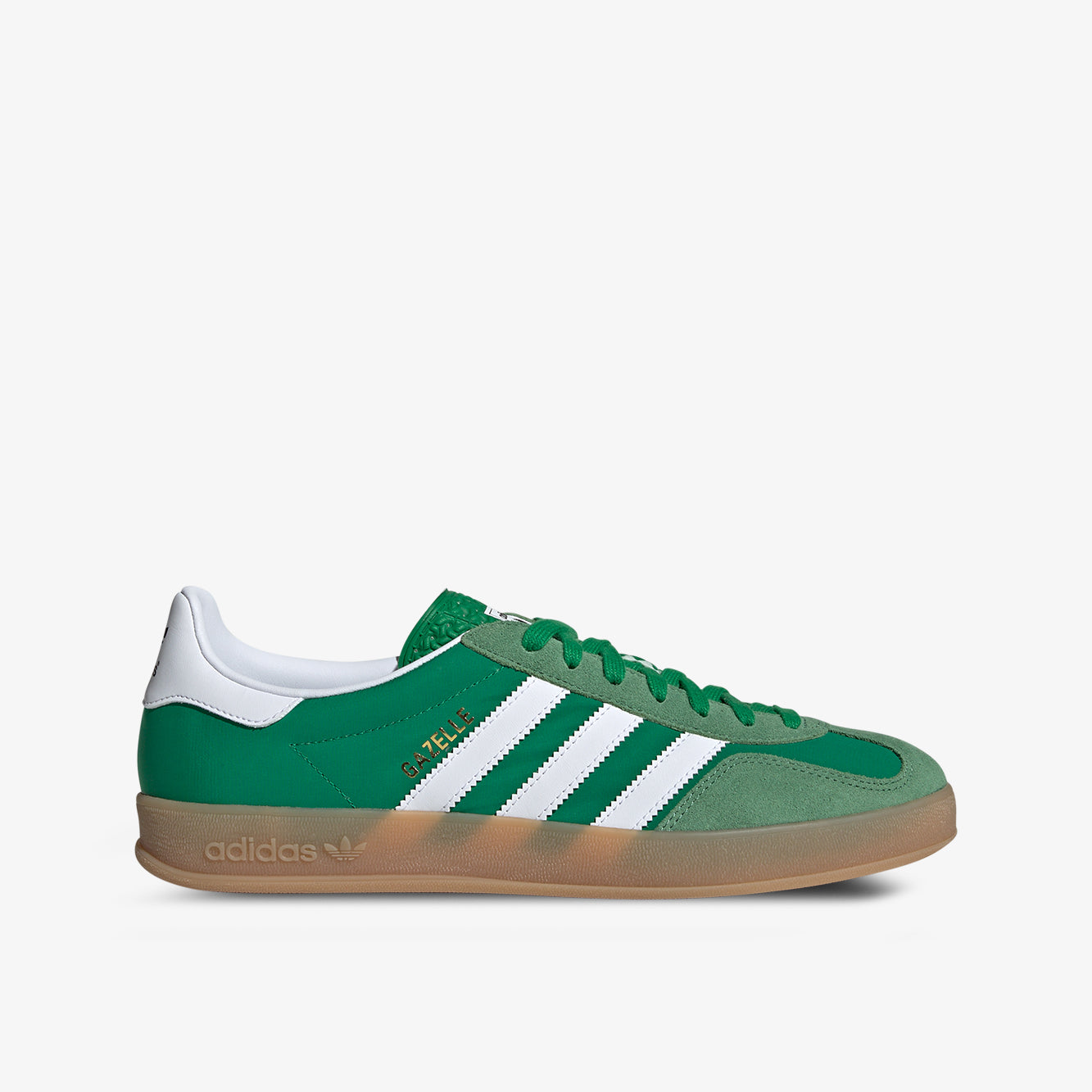 Gazelle indoor